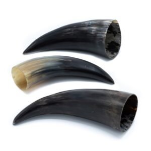Water Buffalo Horn